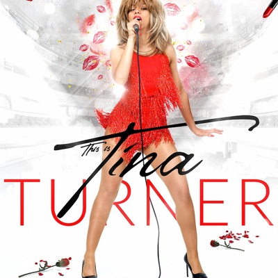 Tina Turner Tribute & Covers